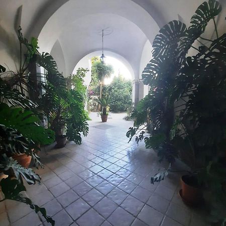 فندق La Casa Delle Camelie ميتا المظهر الخارجي الصورة